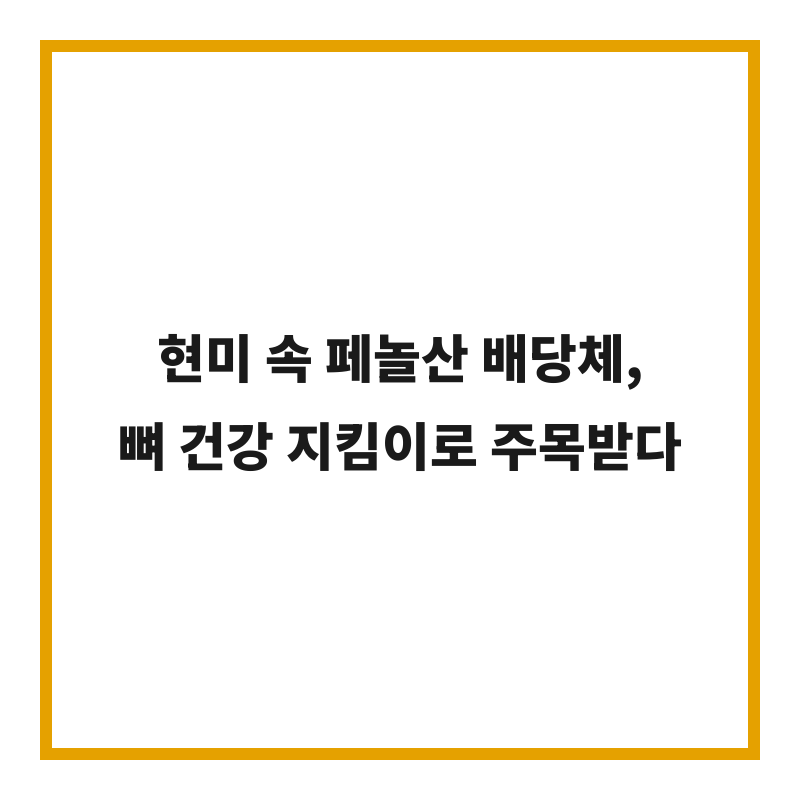 현미 속 페놀산 배당체, 뼈 건강 지킴이로 주목받다