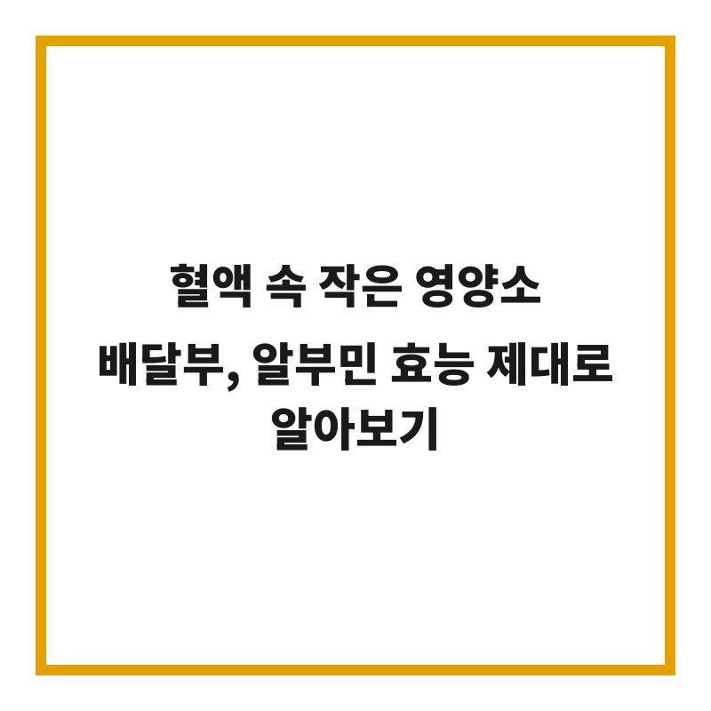 혈액 속 작은 영양소 배달부, 알부민 효능 제대로 알아보기